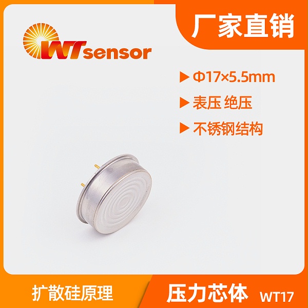 WT17 (Φ17×5.5mm) 压力芯体-南京沃天