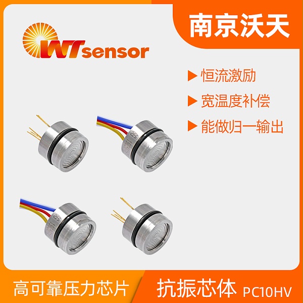 PC10HV 硅压阻式压力芯体