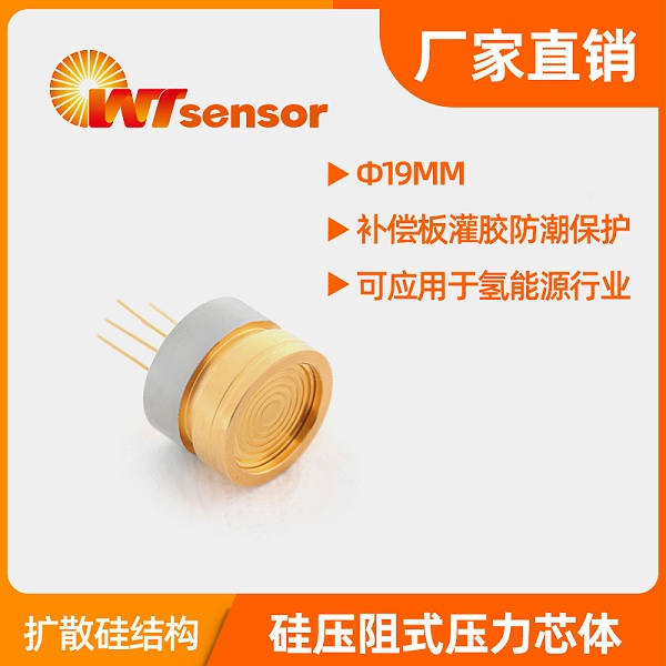 PC10AU（Φ19×14mm）硅压阻式压力芯体