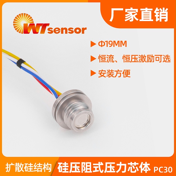 PC30 螺纹压力芯体（Φ12mm）
