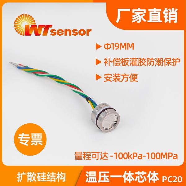 PC20温压一体化芯体 (Φ19×14mm)