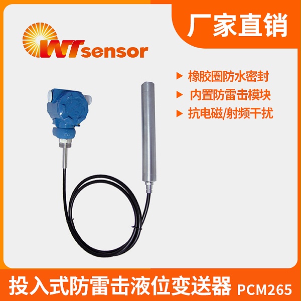 投入式防雷液位变送器 PCM265