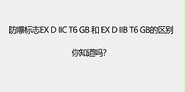 防爆标志Ex d IIC T6 Gb和 Ex d IIB T6 Gb的区别，你知道吗？