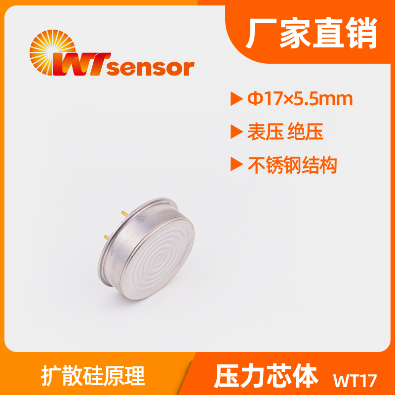 WT17 (Φ17×5.5mm) 压力芯体-南京沃天
