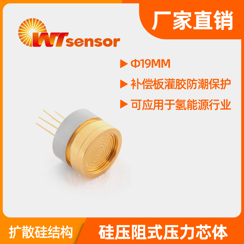 PC10AU（Φ19×14mm）硅压阻式压力芯体