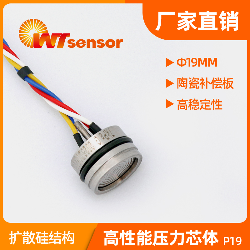 P19高稳压阻式压力芯体 (Φ19×14mm)-南京沃天