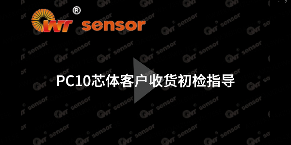 你知道如何进行PC10芯体的初检吗？